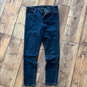 Lucky Brand Dark Blue Skinny Jeans